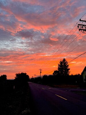 IMG_3038.jpeg