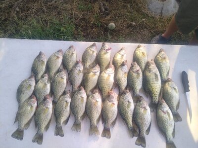 IMG_20250823_181358.jpg