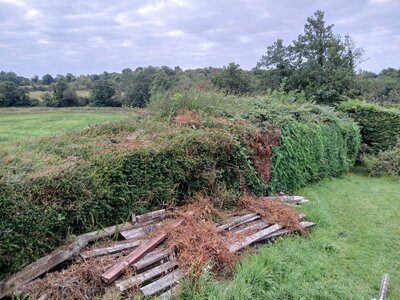 20250822_091328.jpg
