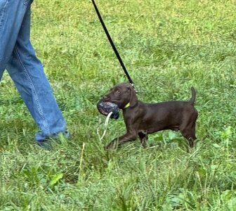 IMG_4231.jpeg