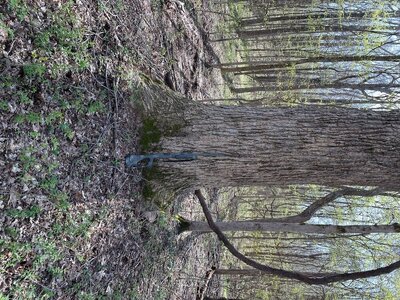 IMG_3194.jpeg