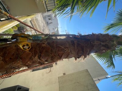 IMG_6236.jpeg