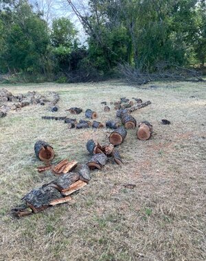 IMG_1531.jpeg