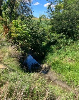 IMG_1540.jpeg