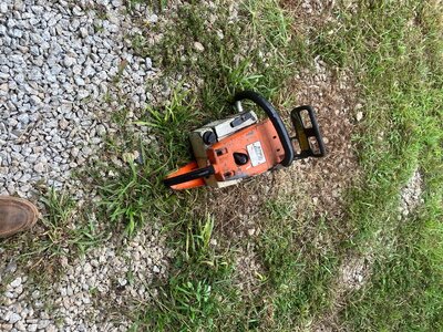 IMG_3102.jpeg