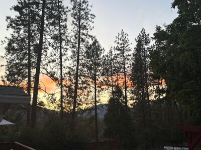 IMG_0540.jpeg
