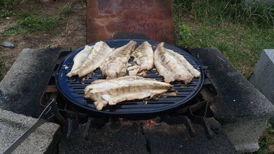 IMG_20250831_160050.jpg