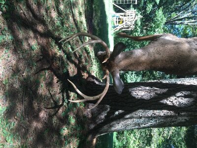 IMG_2119.jpeg