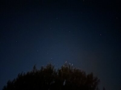 IMG_2186.jpeg