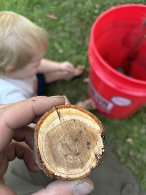 IMG_0782.jpeg