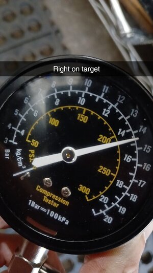 1000002560.jpg