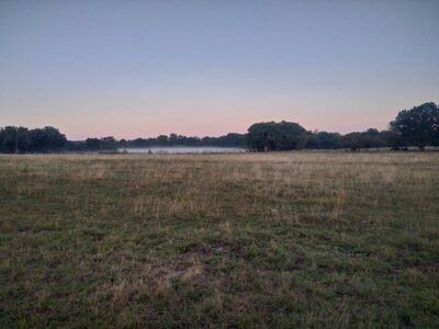 IMG_20250903_070359.jpg