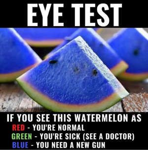 1757000913801.png