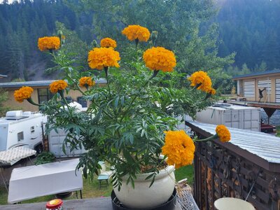20250902_083054.jpg