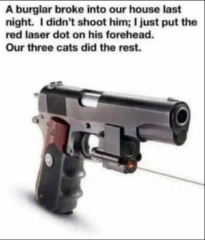 2 cats and the red dot.png