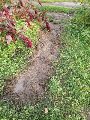 IMG_20250907_181956_083.jpg