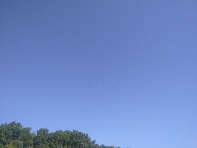 IMG_20250906_104647.jpg