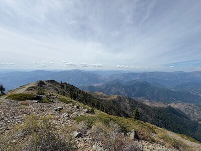 IMG_0785.jpeg