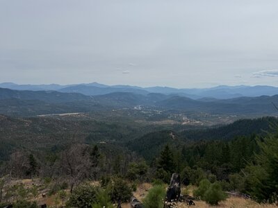 IMG_0787.jpeg