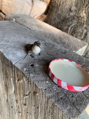 IMG_5098.jpeg