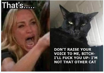 1 bad cat.png