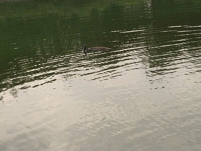 IMG_20250914_091132.jpg