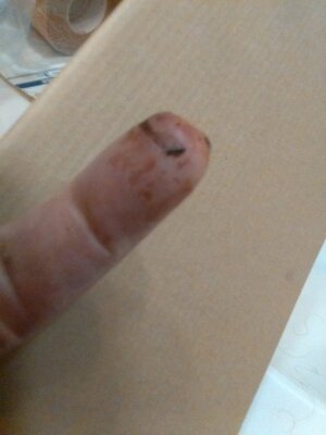 middle finger.jpg