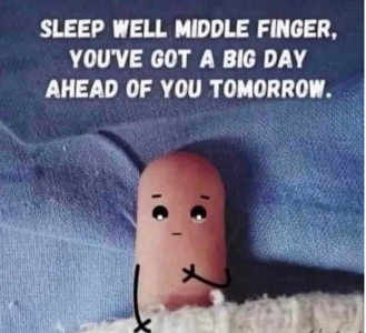 1 middle finger.png