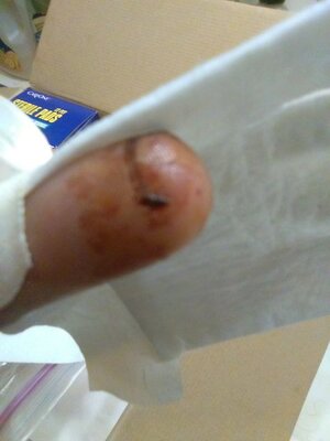 middle finger 3.jpg