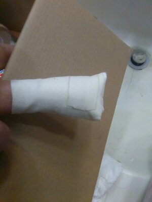 middle finger 5.jpg