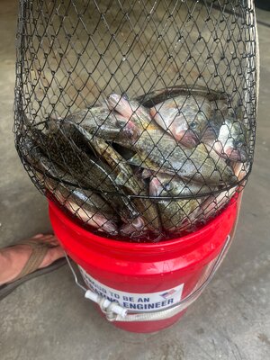 IMG_2428.jpeg