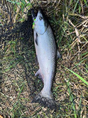 IMG_3130.jpeg