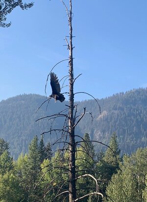 IMG_0637.jpg