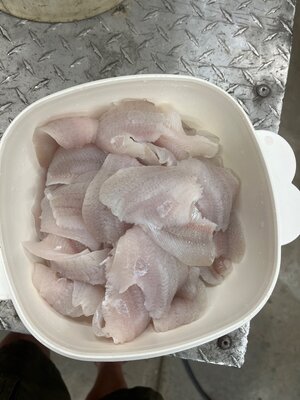 IMG_2441.jpeg