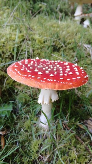 20250921_101555.jpg