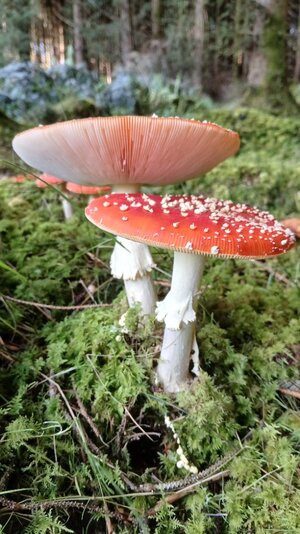 20250921_101438.jpg