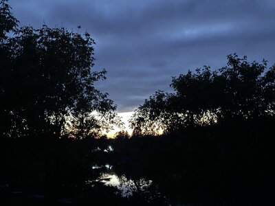 IMG_2245.jpeg