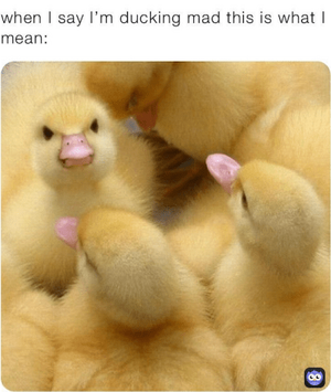 Cheesy-memes-09_03_25-33_34.png