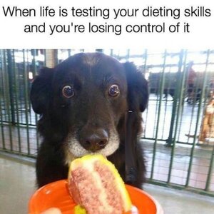 life-is-testing-dieting-skills-and-losing-control.jpg