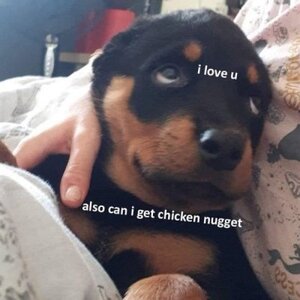 love-u-also-can-get-chicken-nugget-223.jpg
