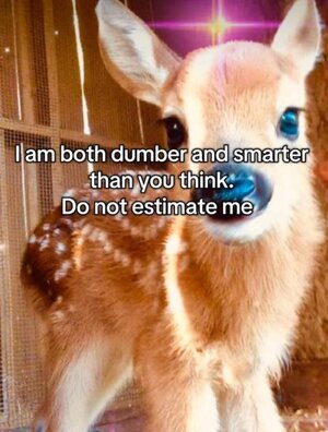 I_Am2074.jpg