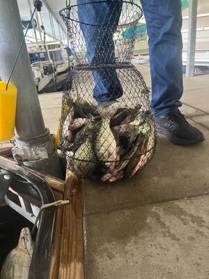 IMG_2445.jpeg