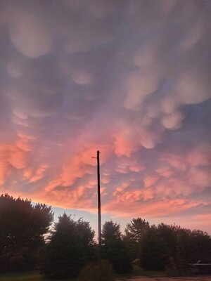 20250922_191442.jpg