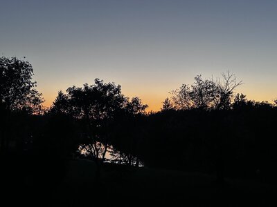IMG_2254.jpeg