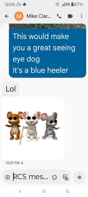 Screenshot_20250925-120633.Messages.png