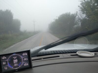 IMG_20250925_071739.jpg