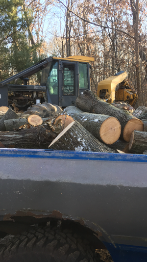 IMG_3781.png IMG_3781.png