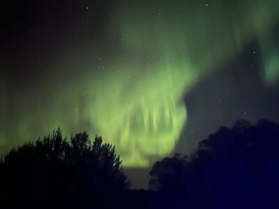 IMG_2263.jpeg