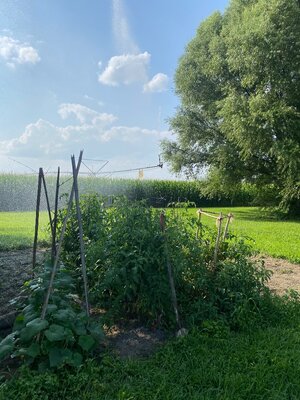 IMG_7876.jpeg