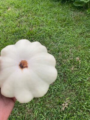 IMG_7834.jpeg